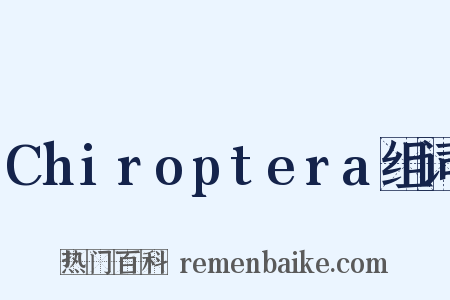 Chiroptera组词是什么意思的图片